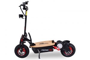 E-Flux Freeride Pro 1600